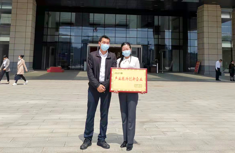 實(shí)力彰顯！全市工業(yè)振興大會(huì)召開(kāi)，桂林鴻程斬獲多項(xiàng)榮譽(yù)